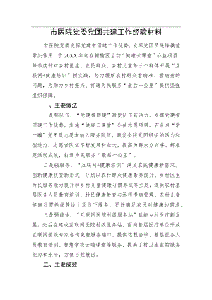 市医院党委党团共建工作经验材料.docx