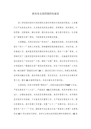 抓实党支部四强四化建设.docx