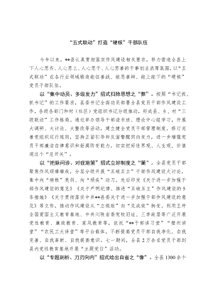 干部队伍建设经验交流材料(1).docx