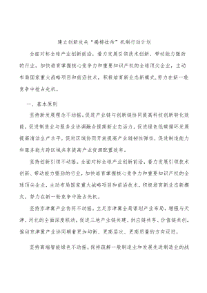 建立创新攻关“揭榜挂帅”机制行动计划.docx