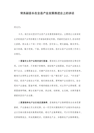 常务副县长在全县产业发展推进会上的讲话.docx