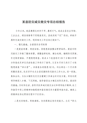 某县防灾减灾救灾专项总结报告.docx