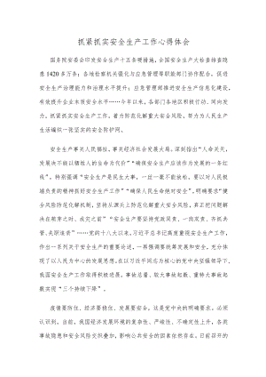 抓紧抓实安全生产工作心得体会.docx