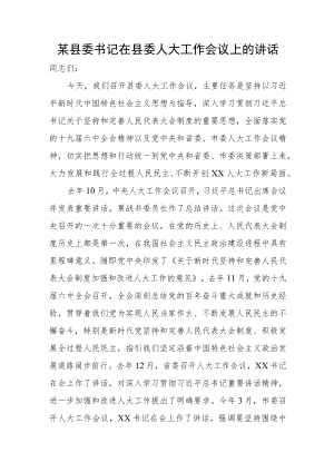 某县委书记在县委人大工作会议上的讲话.docx