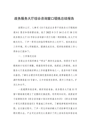 政务服务大厅综合咨询窗口锻炼总结报告.docx