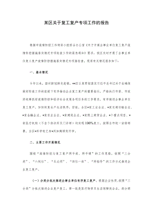 某区关于复工复产专项工作的报告.docx