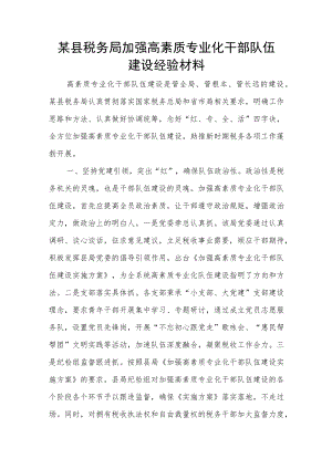 某县税务局加强高素质专业化干部队伍建设经验材料.docx