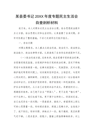 某县委书记2022年度专题民主生活会自查剖析材料.docx