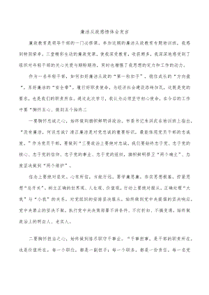 廉洁从政感悟体会发言.docx