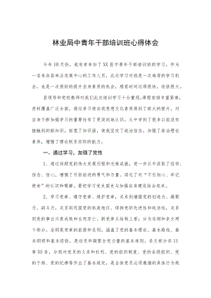 林业局中青年干部培训班心得体会.docx