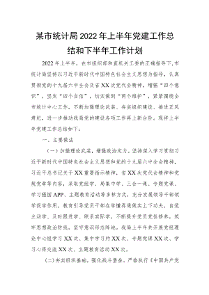 某市统计局2022年上半年党建工作总结和下半年工作计划.docx