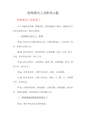 村两委分工及职责6篇.docx