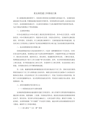 某支部党建工作情况汇报.docx