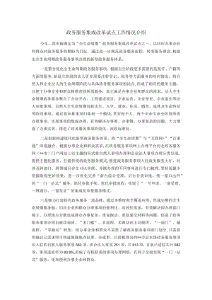 政务服务集成改革试点工作情况介绍.docx