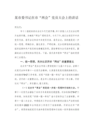 某市委书记在市“两会”党员大会上的讲话.docx