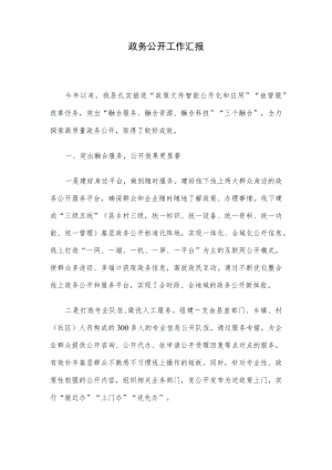 政务公开工作汇报.docx