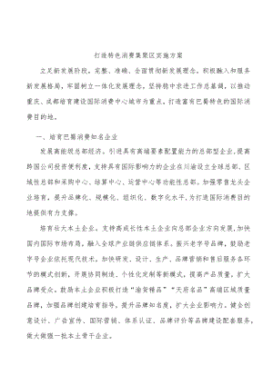 打造特色消费集聚区实施方案.docx