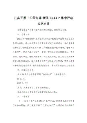 扎实开展“扫黄打非·新风”集中行动实施方案.docx