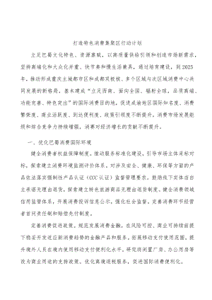 打造特色消费集聚区行动计划.docx
