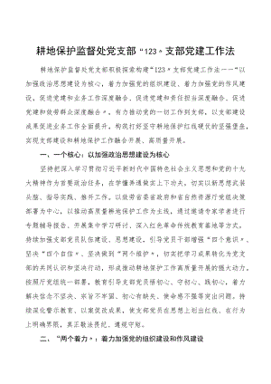 支部工作法耕地保护监督处党支部党建工作法.docx
