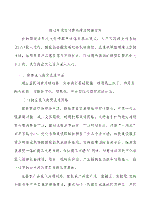 推动跨境支付体系建设实施方案.docx