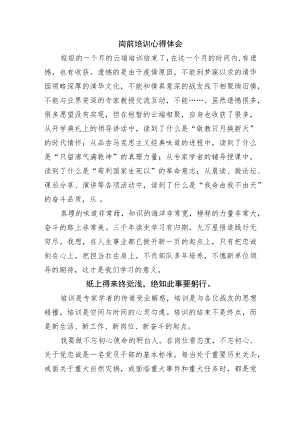 岗前培训心得体会.docx