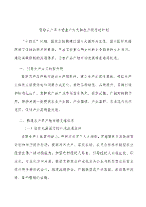 引导农产品市场生产方式转型升级行动计划.docx