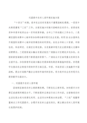 巩固提升农村人居环境实施方案.docx