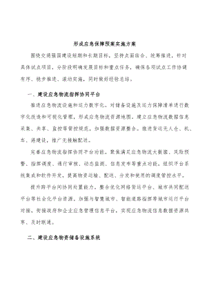 形成应急保障预案实施方案.docx