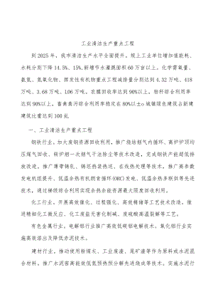 工业清洁生产重点工程.docx