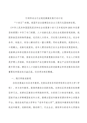 引领养老全行业规范健康发展行动计划.docx