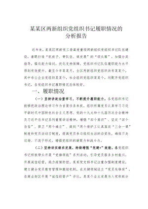 某某区两新组织党组织书记履职情况的分析报告.docx