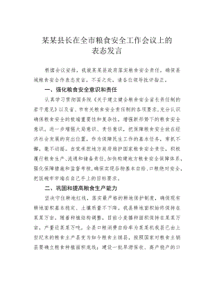 某某县长在全市粮食安全工作会议上的表态发言.docx