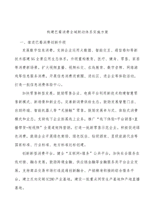 构建巴蜀消费全域联动体系实施方案.docx