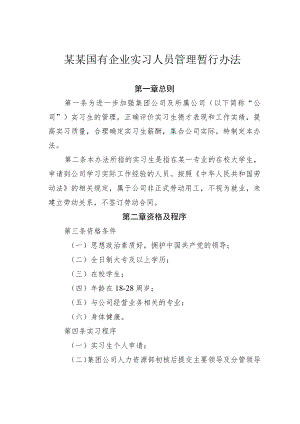 某某国有企业实习人员管理暂行办法.docx