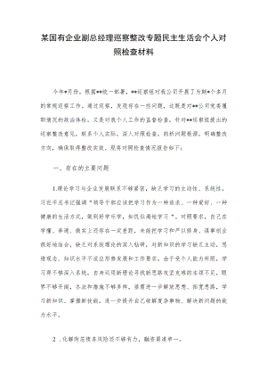 某国有企业副总经理巡察整改专题民主生活会个人对照检查材料.docx