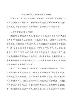 构建三级冷链物流网络节点行动计划.docx