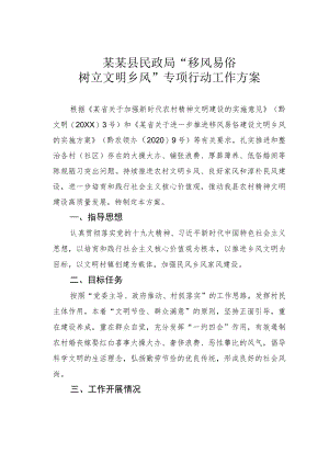 某某县民政局“移风易俗树立文明乡风”专项行动工作方案.docx