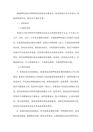 某国有企业落实巡察整改工作方案.docx