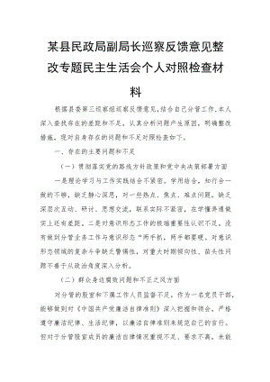 某县民政局副局长巡察反馈意见整改专题民主生活会个人对照检查材料.docx