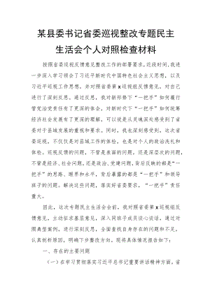 某县委书记省委巡视整改专题民主生活会个人对照检查材料.docx