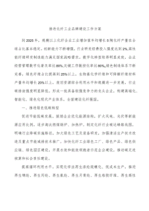 推进化纤工业品牌建设工作方案.docx