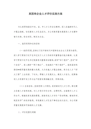 某国有企业人才评价实施方案.docx