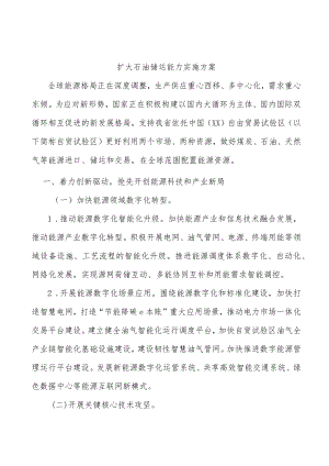 扩大石油储运能力实施方案.docx