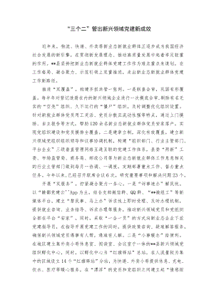 新兴领域党建经验交流材料.docx