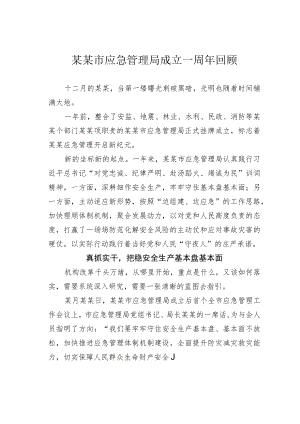 某某市应急管理局成立一周年回顾.docx