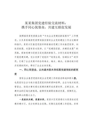 某某集团党建经验交流材料：携手同心筑堡垒共建互联促发展.docx