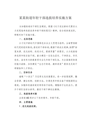 某某街道年轻干部选拔培养实施方案.docx