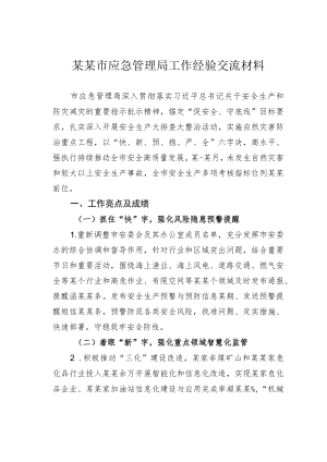 某某市应急管理局工作经验交流材料.docx