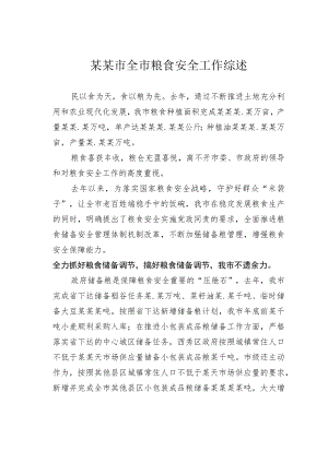 某某市全市粮食安全工作综述.docx